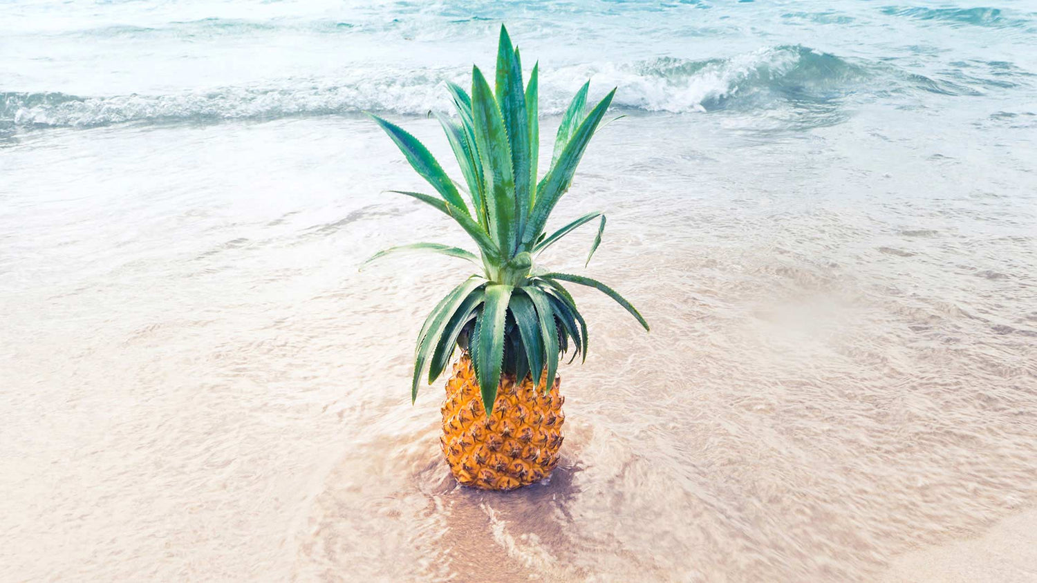 Pineapple in water