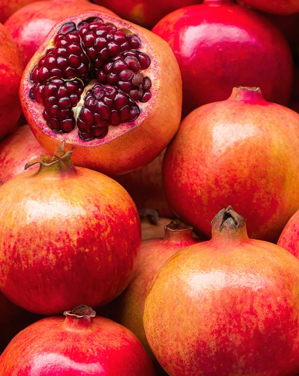 Granatapfel