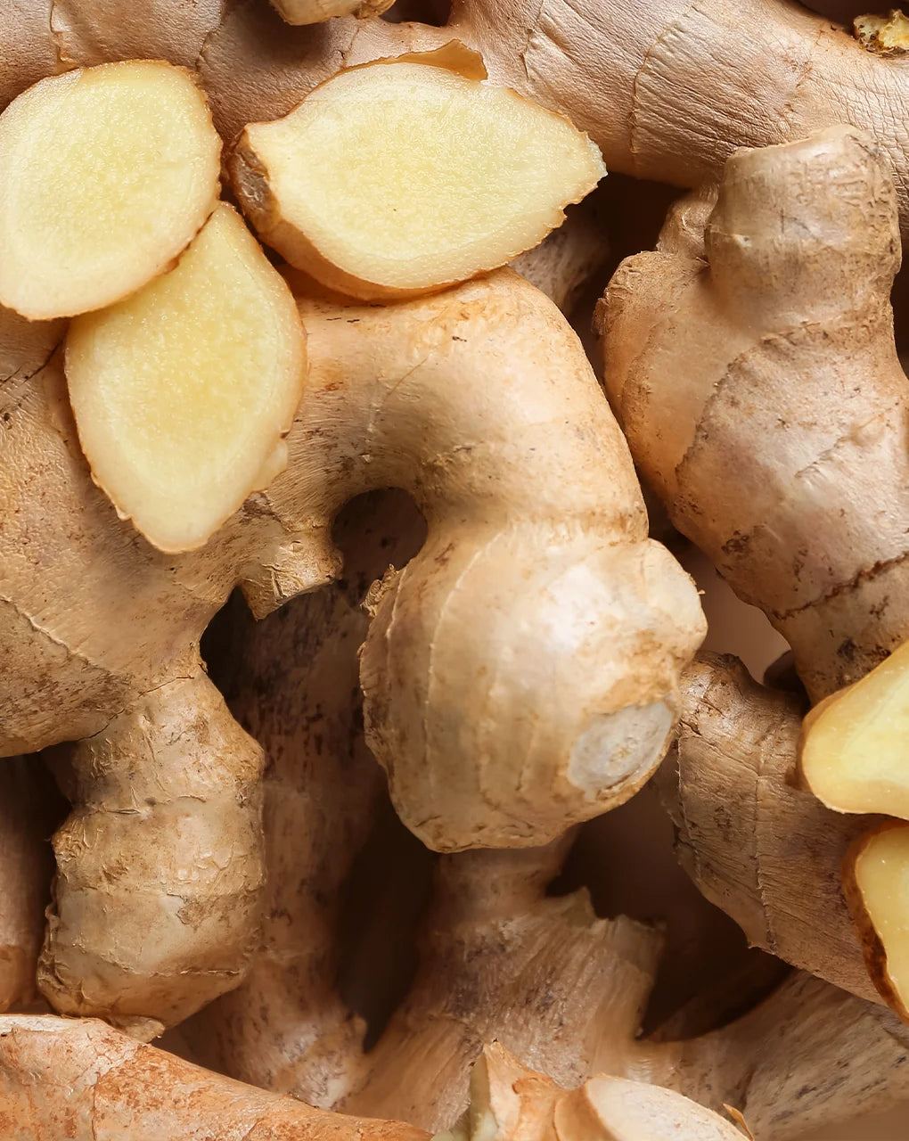 Ginger for immune defense
