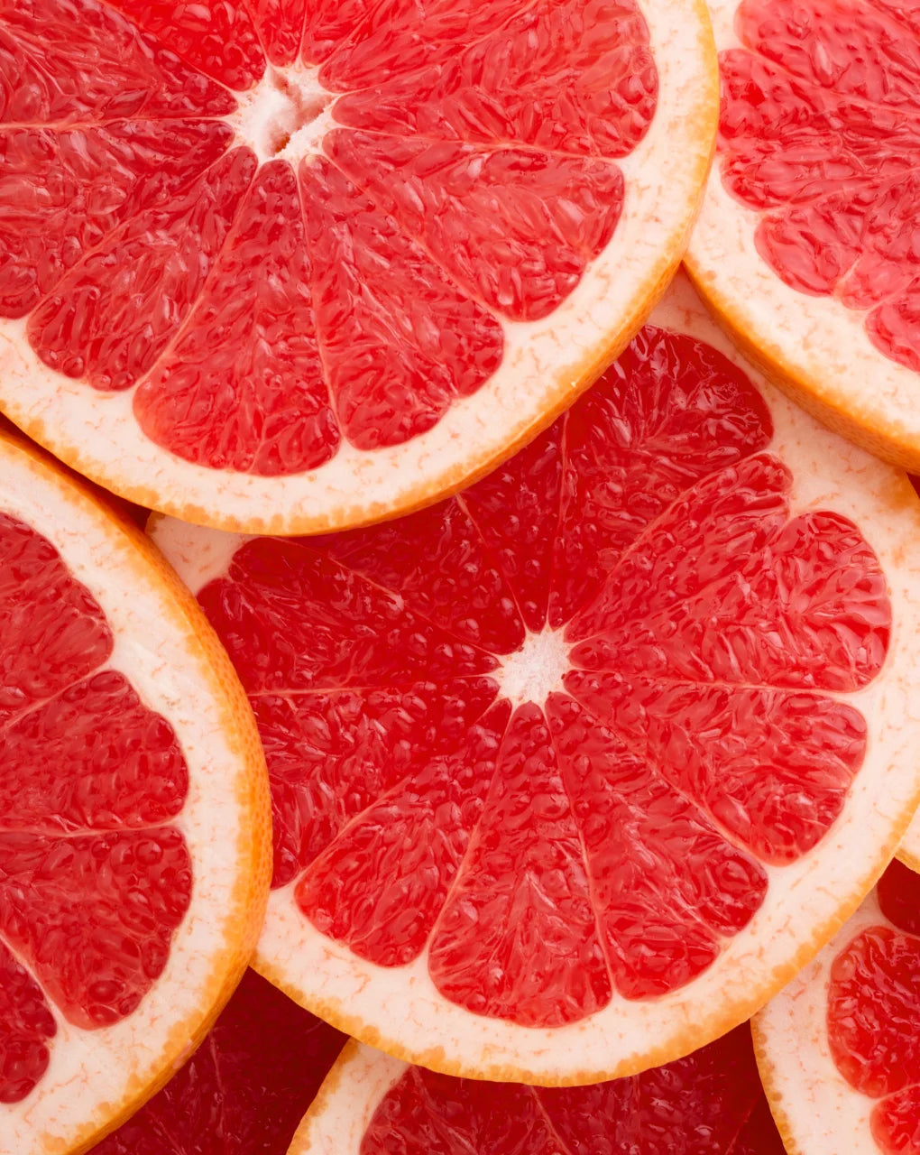 Grapefruit in Scheiben