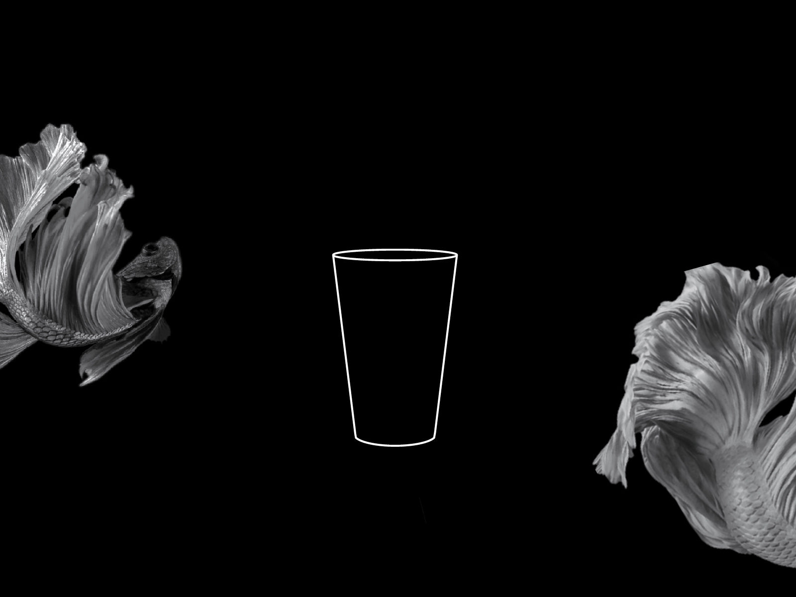 Wähle ein Trinkgefäß für dein Infused Water, beispielsweise ein Glas