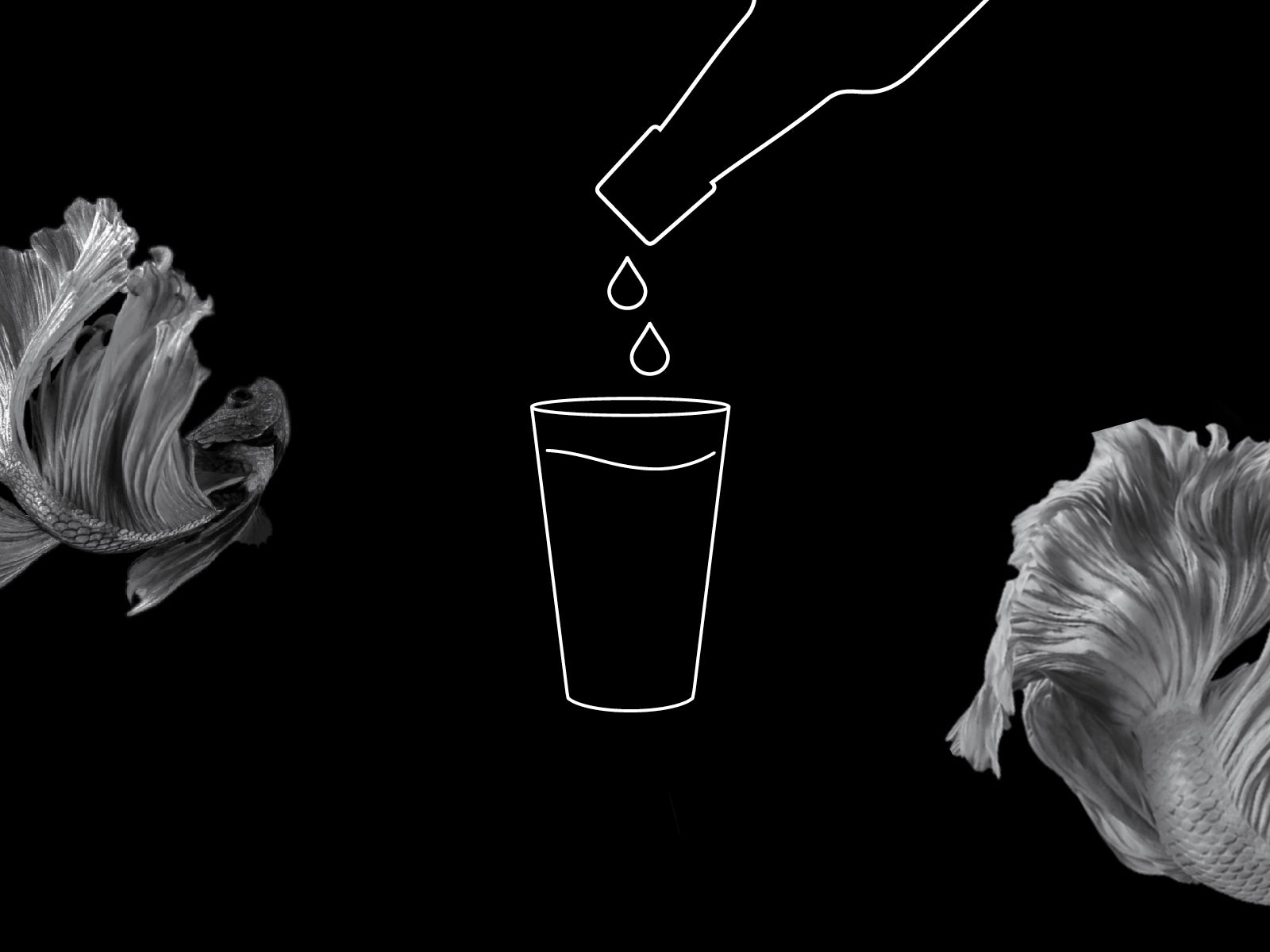 Fülle ein Glas oder eine Flasche mit Leitungswasser oder Mineralwasser