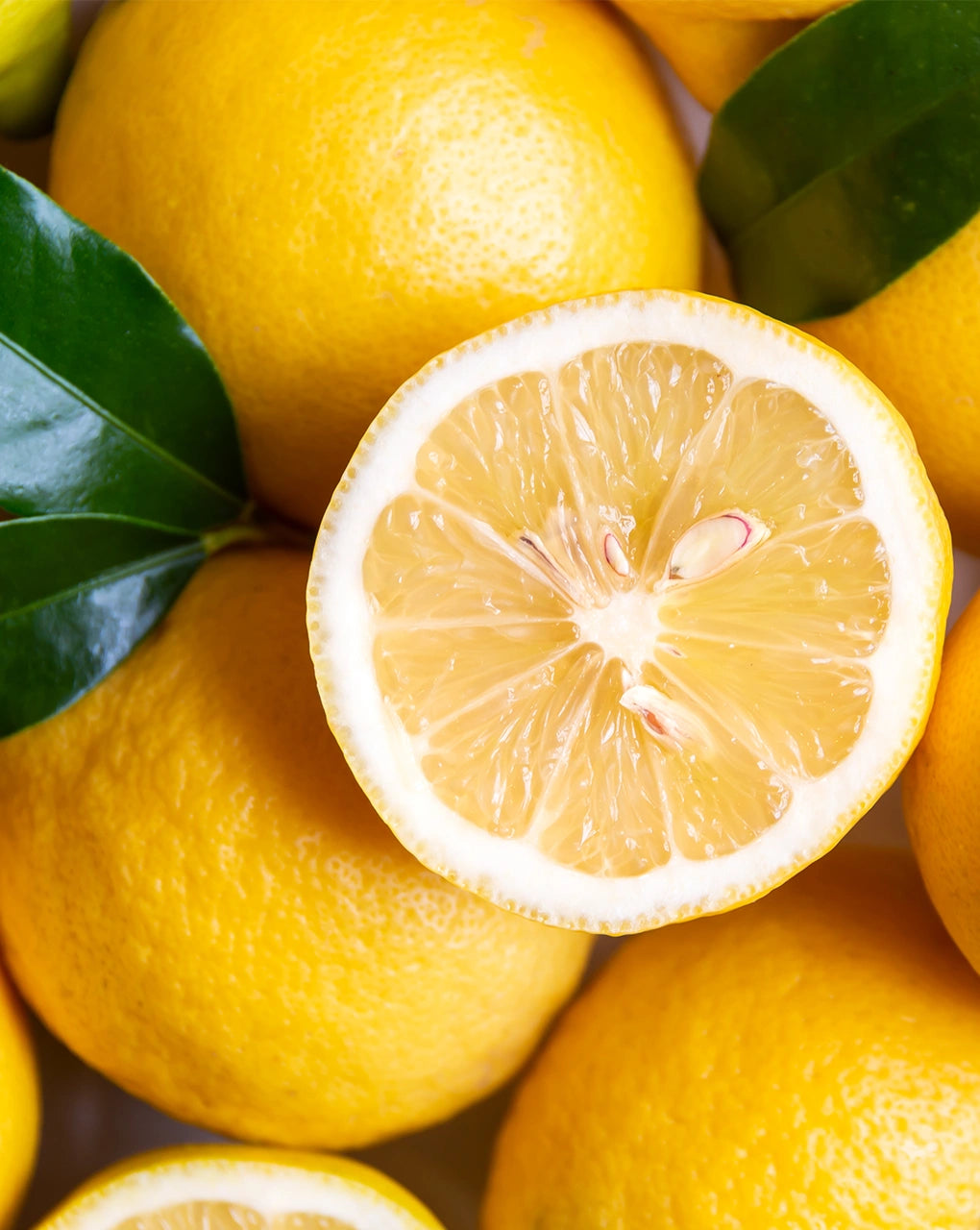 Zitronen für Bitter Lemon